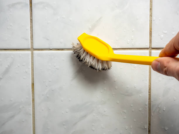 Best Mold Removal Near Me  in American Fork, UT