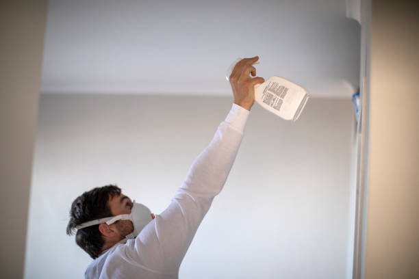 Best Fast Mold Removal  in American Fork, UT